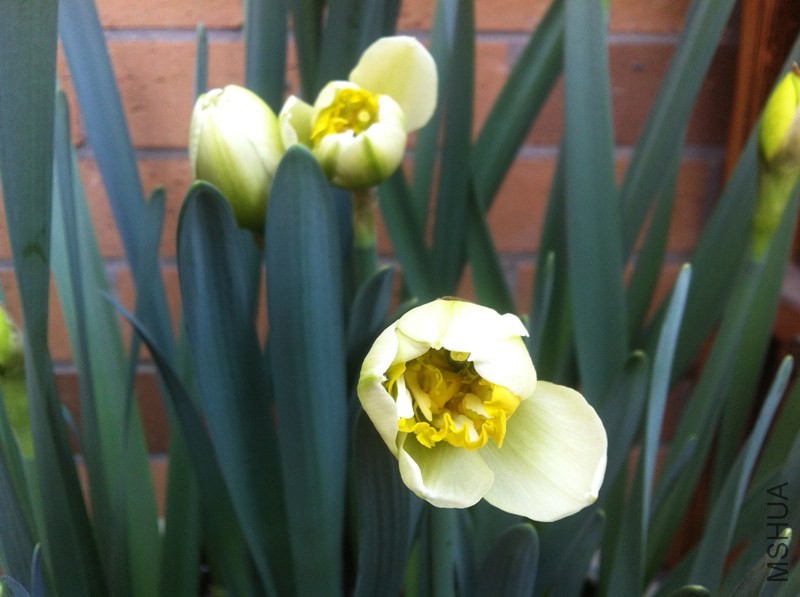 IMG_3460 (1)_����.jpg