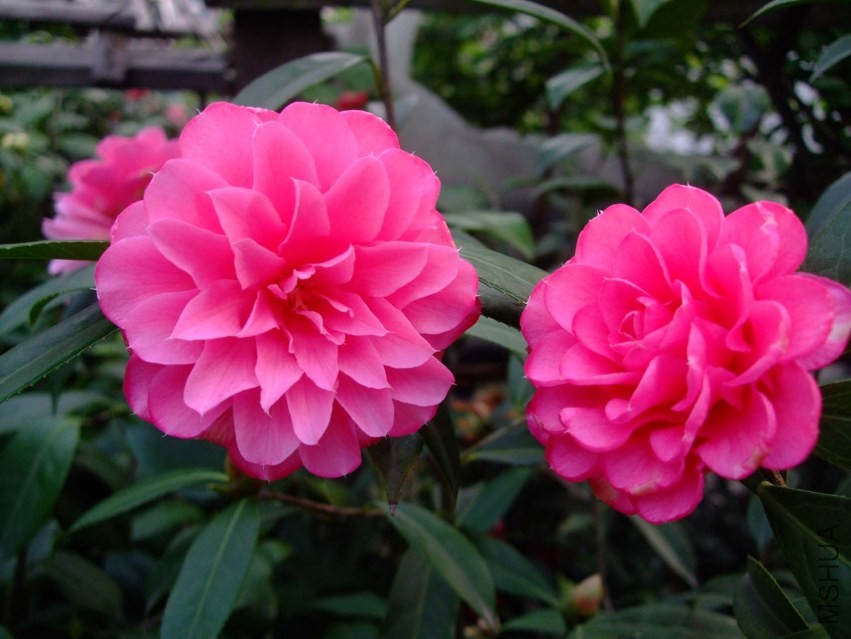 �۴��� 2014-3-27 020.jpg