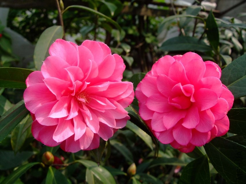 �۴��� 2014-3-27 051.jpg