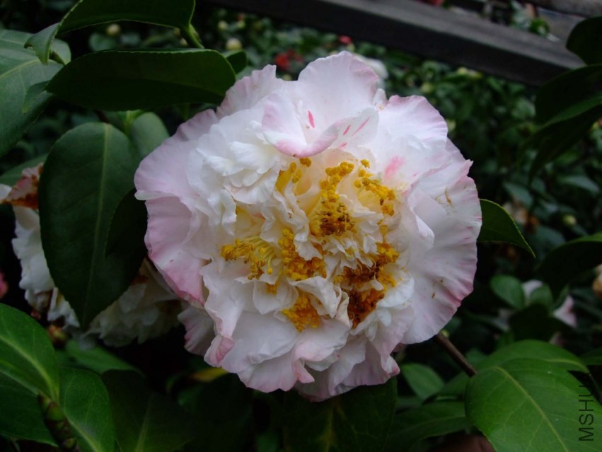 ���ж� 2014-3-26 020.jpg