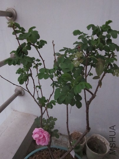 QQ��ͼ20140327194526.jpg