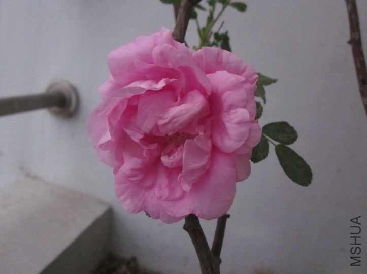 QQ��ͼ20140327194513.jpg