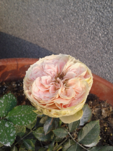 2014-03-23 08.22.44.jpg