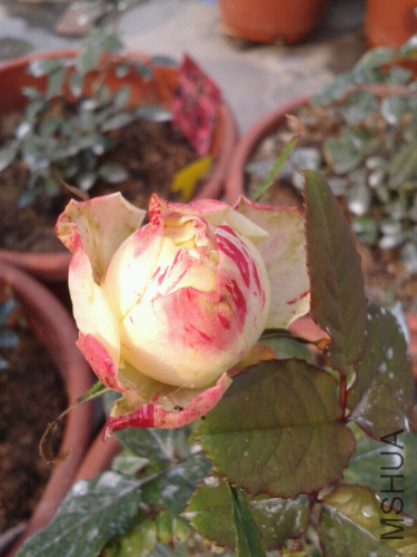 2014-03-23 08.27.24.jpg