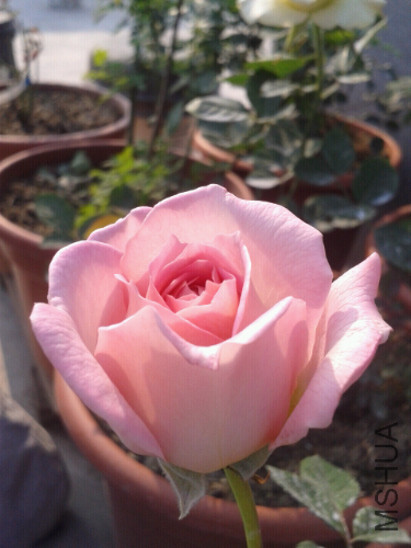 2014-03-23 16.19.54.jpg