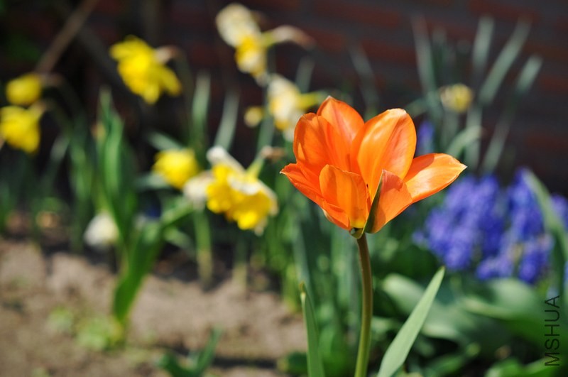DSC_0058.jpg