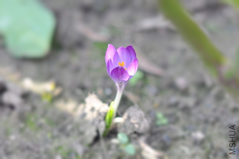 DSC_0122.jpg