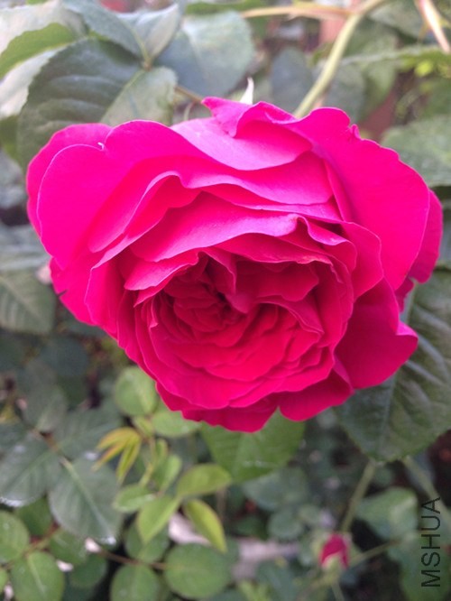 ��Ƭ 017_����.jpg