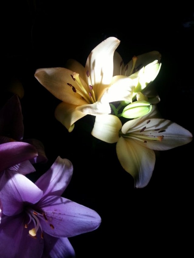 ��ڵ�ʱ�򣬿����ֵ�ƣ�Ȼ��û�������ĳ���Ч����