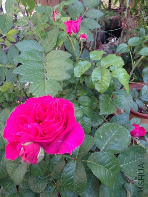 ��Ƭ 048_����.jpg