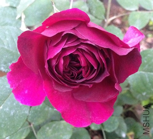 ��Ƭ 025_����.jpg