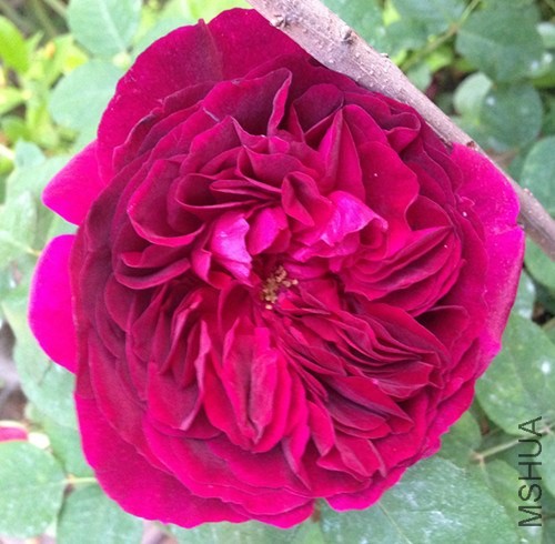 ��Ƭ 041_����.jpg