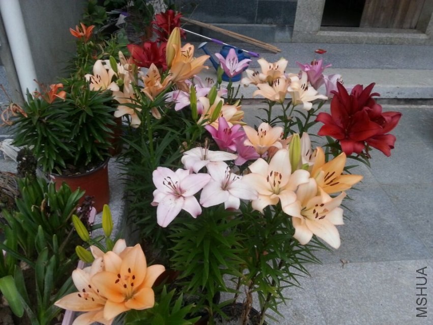 ���� (6).jpg