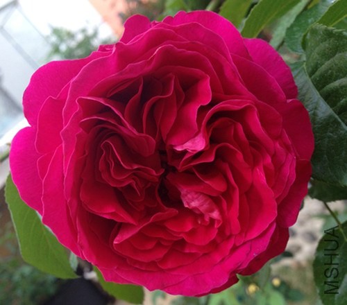 ��Ƭ 028_����.jpg