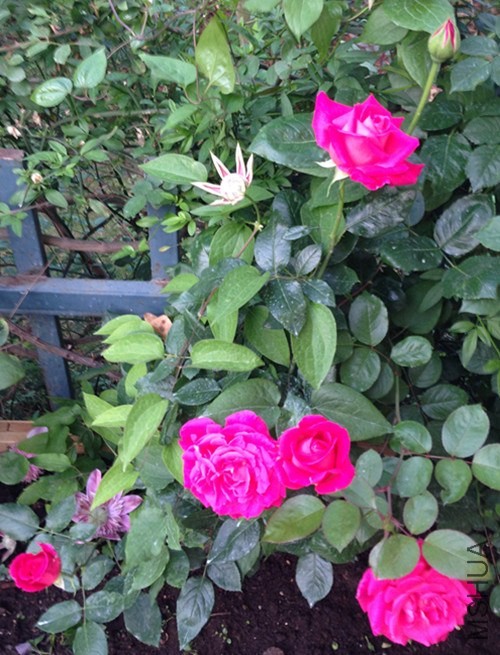 ��Ƭ 033_����.jpg