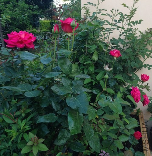 ��Ƭ 037_����.jpg