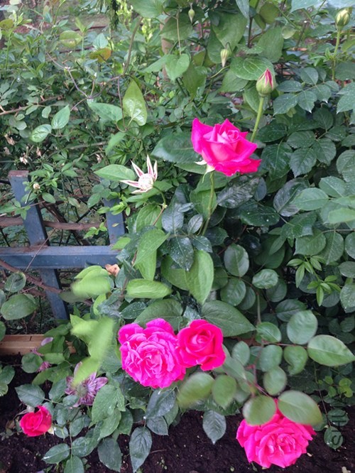 ��Ƭ 047_����.jpg