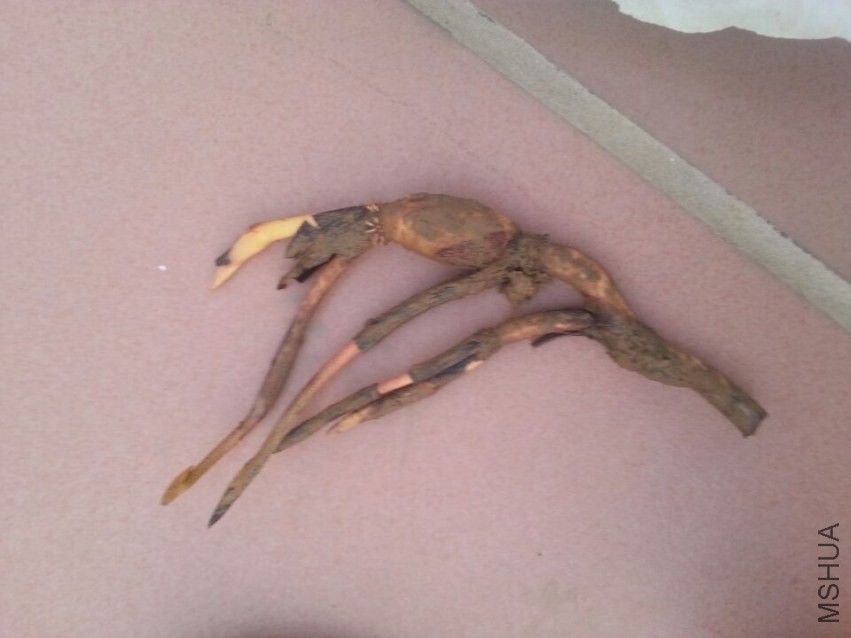 ��ź������ (2).jpg