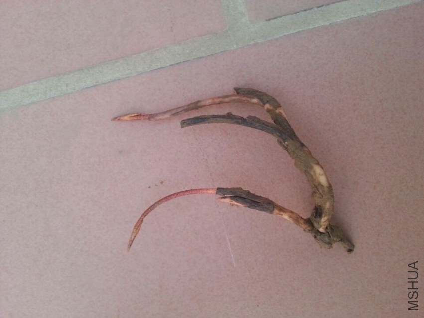 ��ź������ (1).jpg