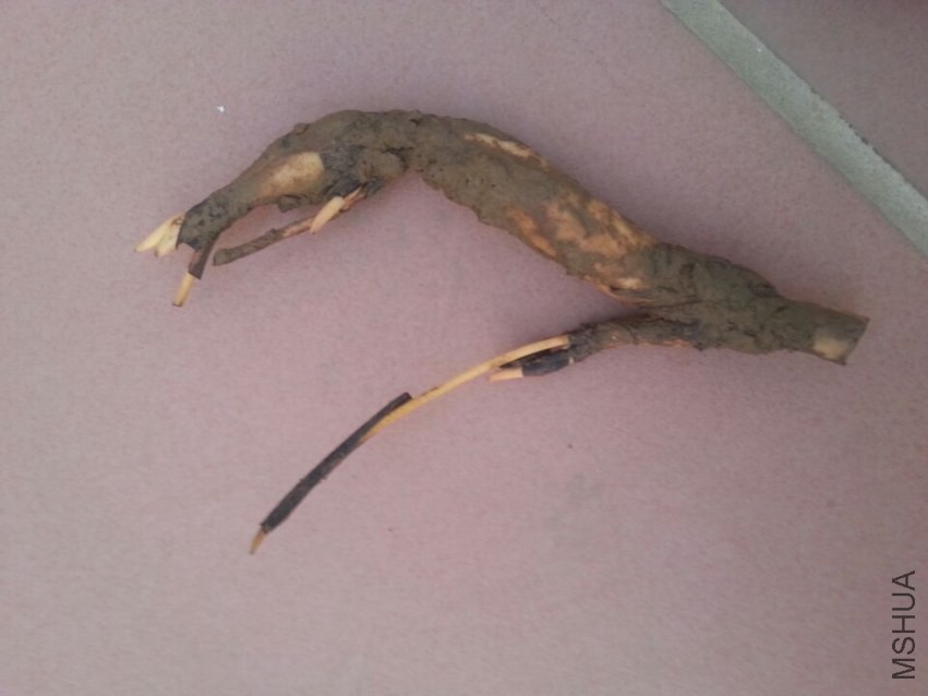 ��ź������ (3).jpg