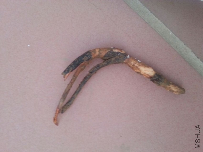 ��ź������ (4).jpg