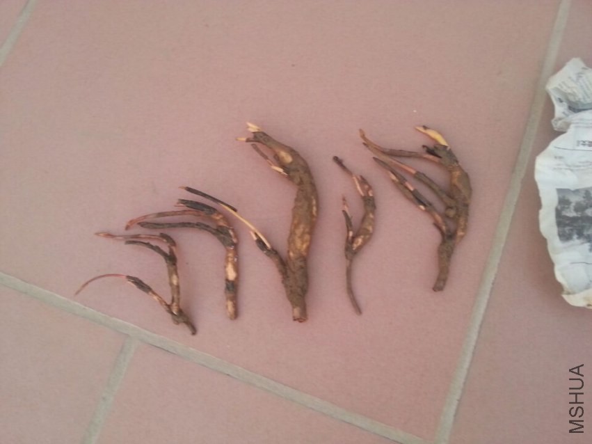 ��ź���� (1).jpg