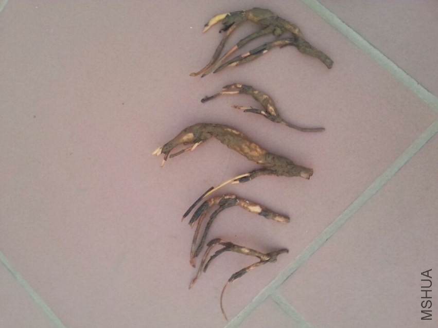 ��ź���� (2).jpg