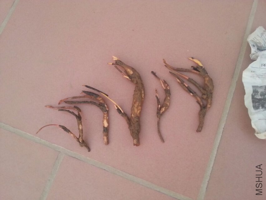 ��ź���� (3).jpg