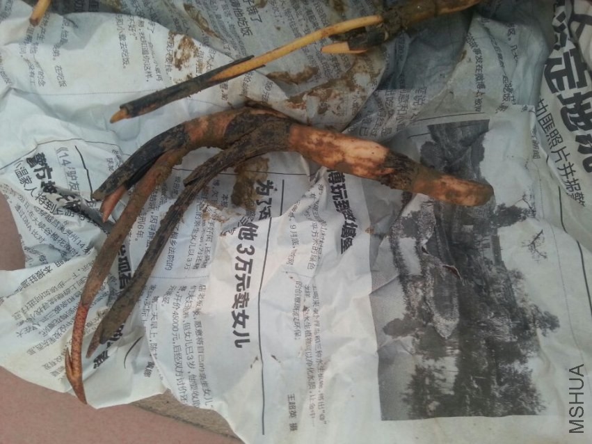 ��ź���� (4).jpg