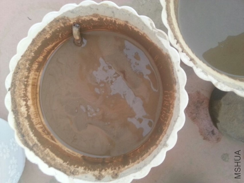 ��ʼ���� (1).jpg