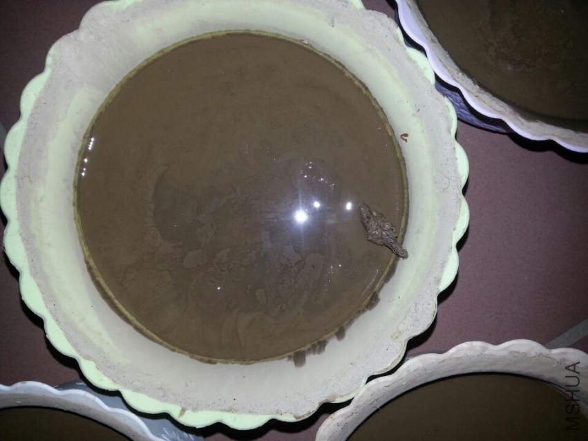 ����3Сʱ�� (2).jpg