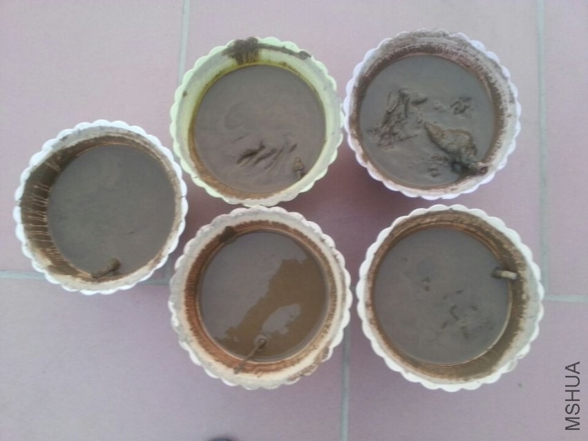 ������� (1).jpg