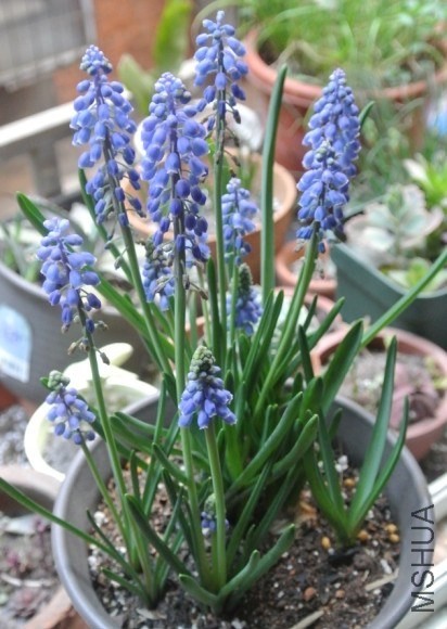 QQͼƬ20140328125824.jpg