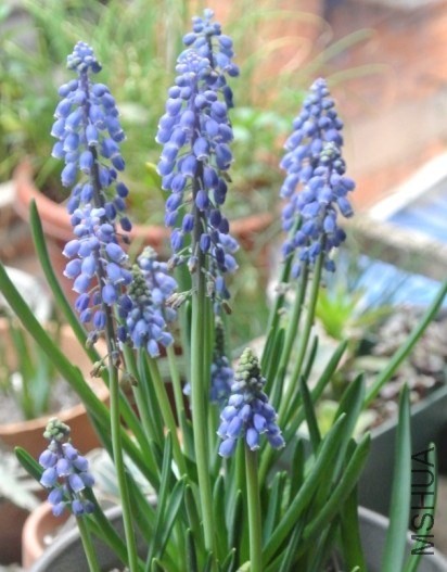 QQͼƬ20140328125917.jpg