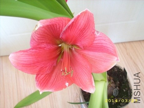 ��������� 4.JPG