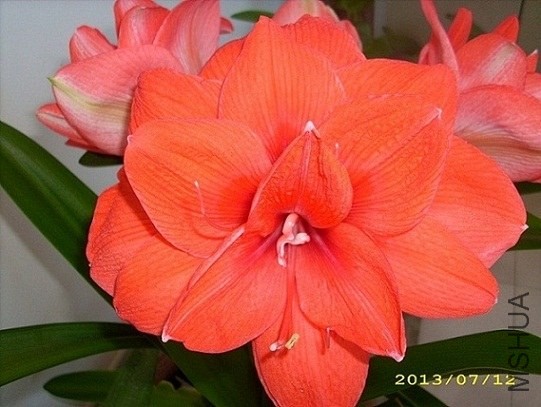 ��������ذ� .jpg