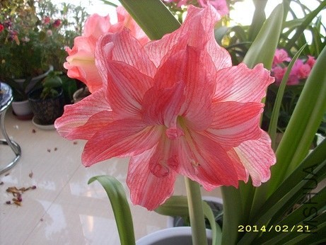 ����С �� .jpg