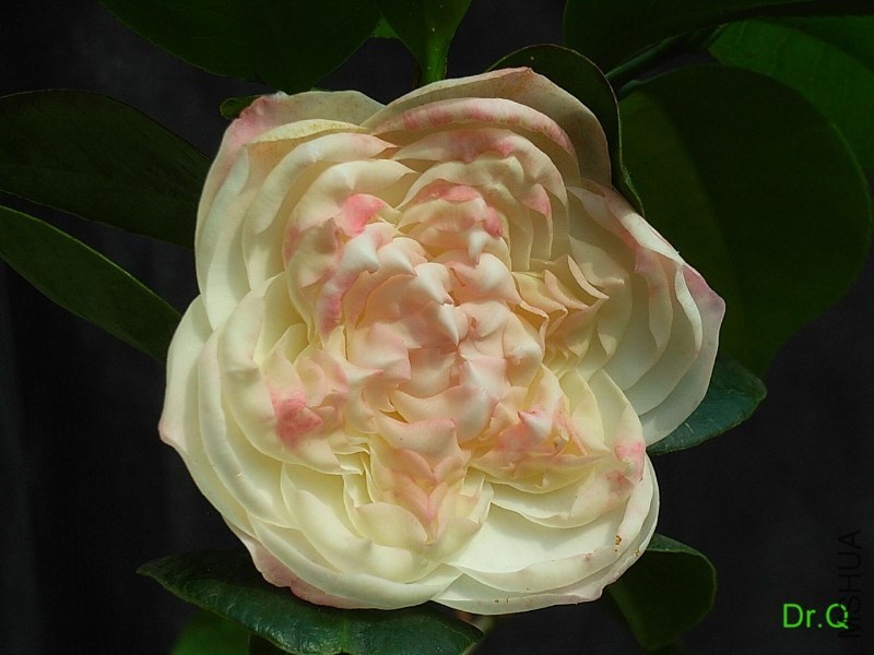 5-�찲��.JPG