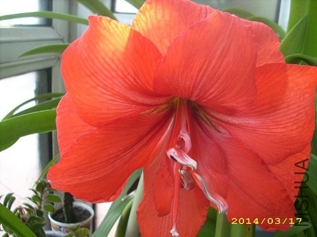 ��������ذ�    .jpg