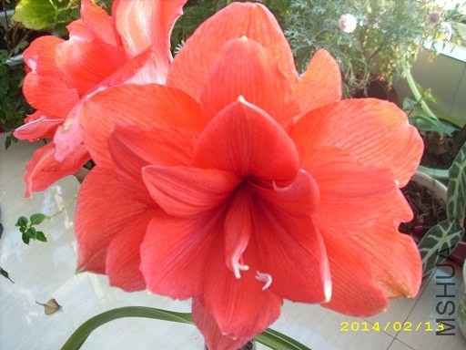 �������ذ�   .jpg