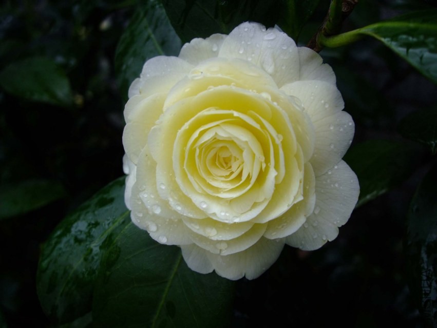 �ƴ� 2014-3-29 156.jpg