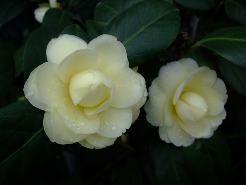 �ƴ� 2014-3-29 010.jpg