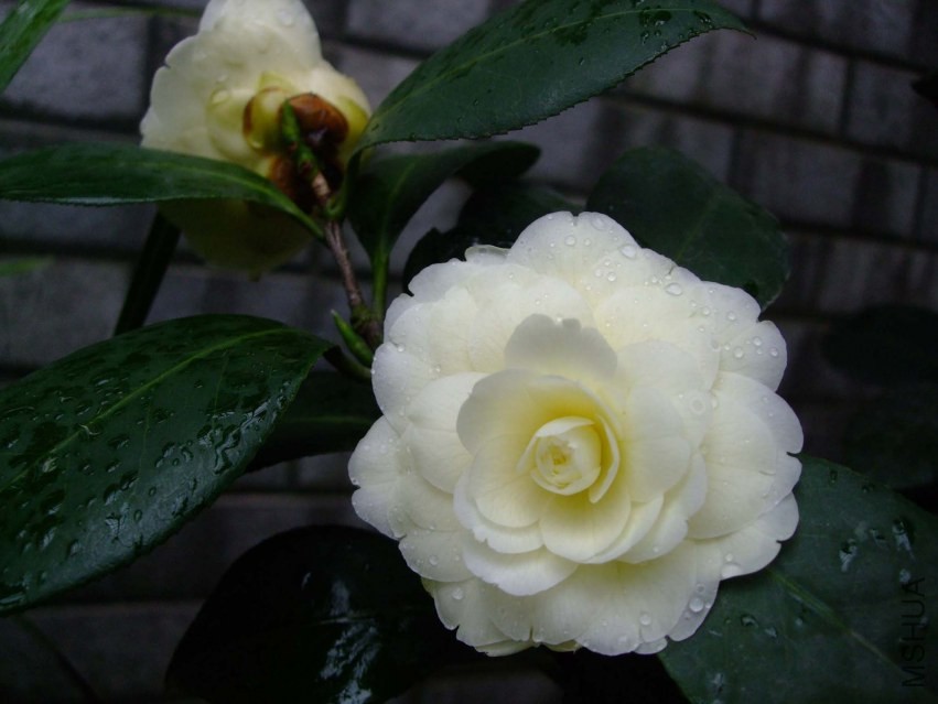 �ƴ� 2014-3-29 108.jpg