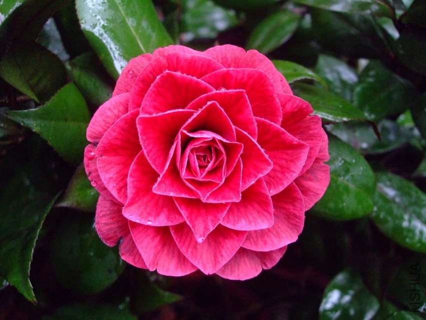 ����Ů 2014-3-29 070.jpg
