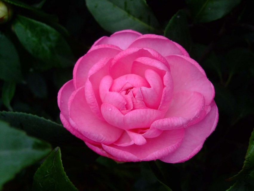 ��� 2014-3-29 147.jpg