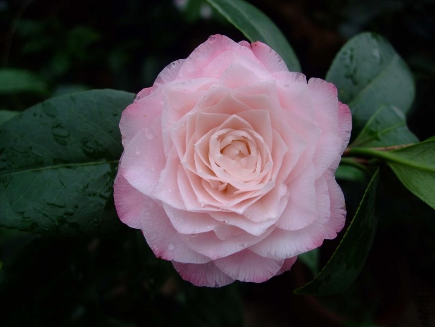 ţ�������� 2014-3-29 130.jpg