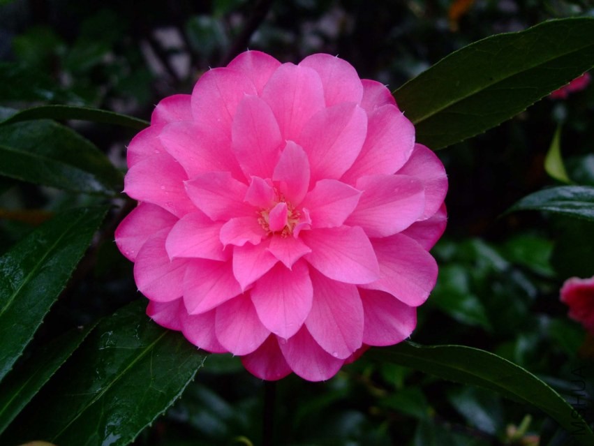 �۴���(��ɫ��) 2014-3-29 074.jpg