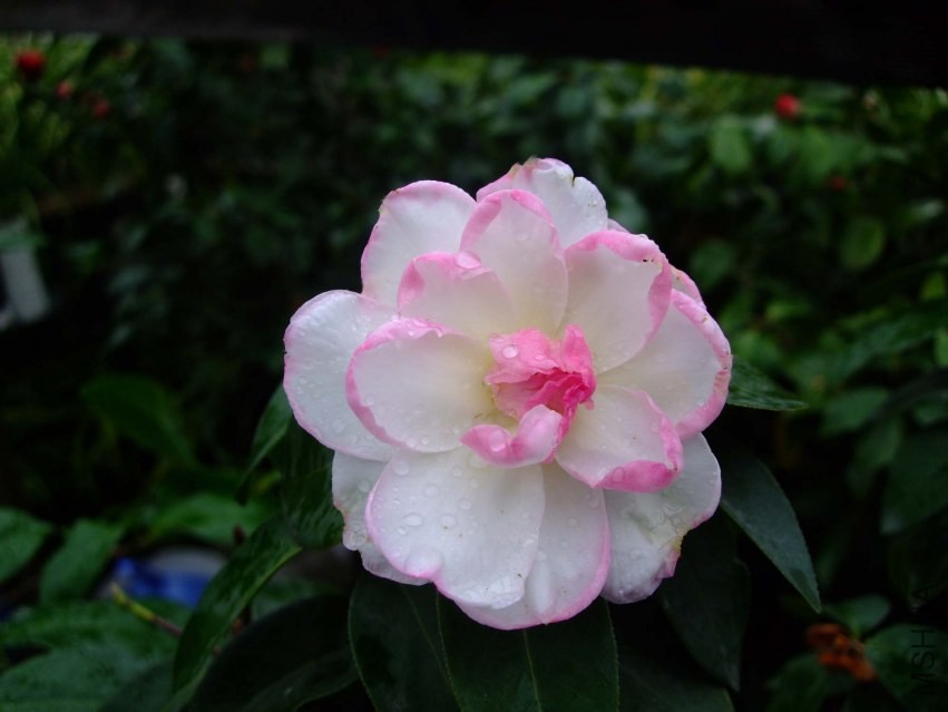 �����Ϲ� 2014-3-29 145.jpg