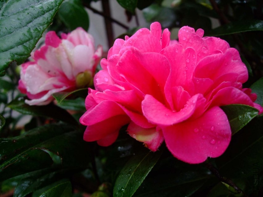 ���� 2014-3-29 088.jpg