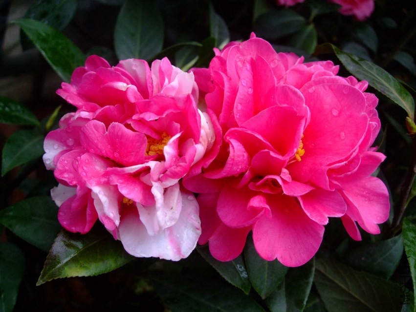 ���� 2014-3-29 135.jpg